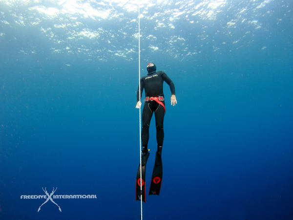 freediving-package-combo-week