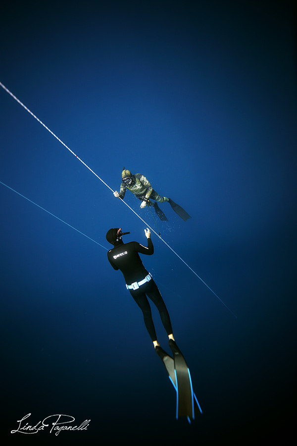 freediving instructor course