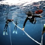 freediving instructor course