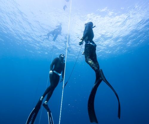freediving course tenerife