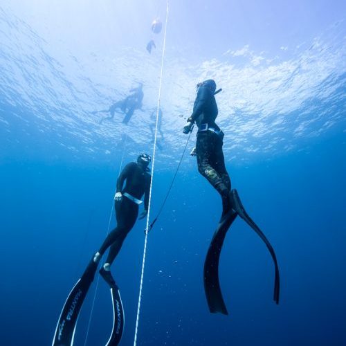 freediving course tenerife