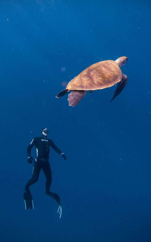 C:DCIM100GOPROGOPR5685.GPR